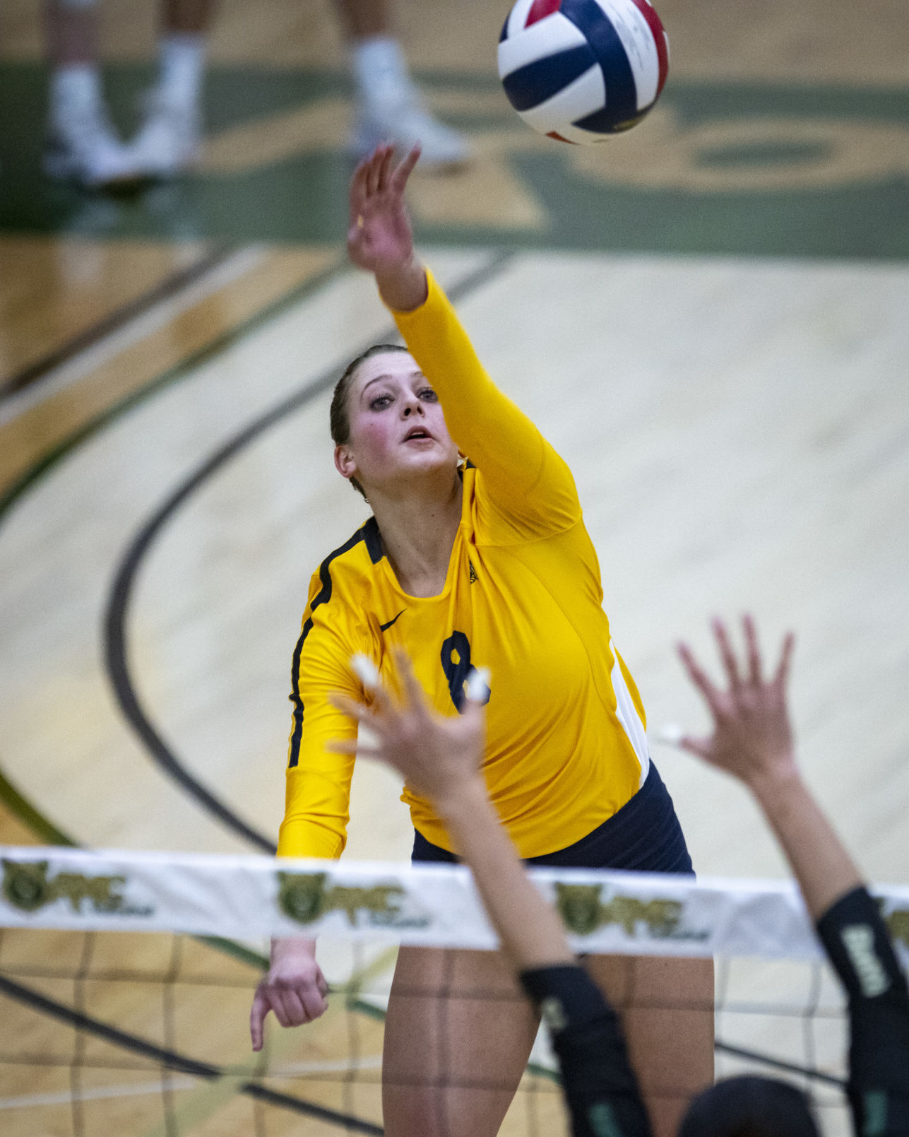 MSU Billings vs. Rocky Mountain College